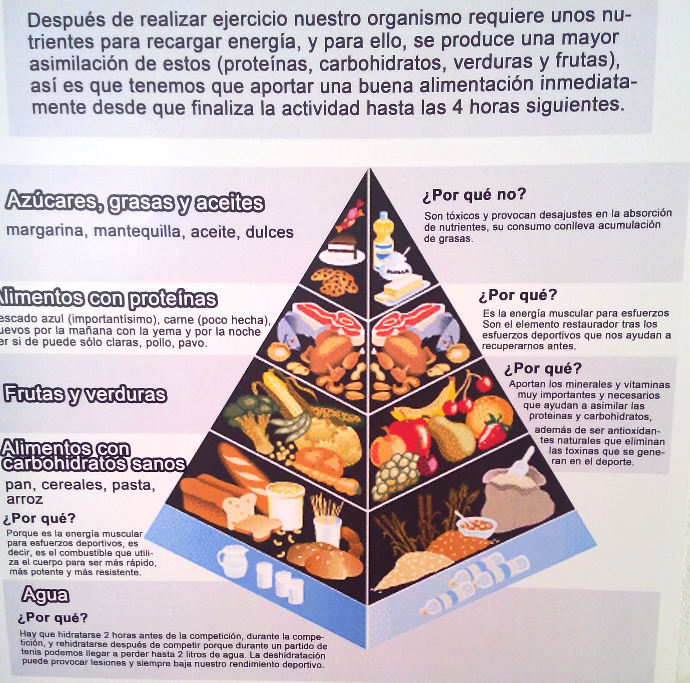 Piramide alimentaria2