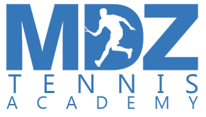 LOGO MDZ 2019 300x171